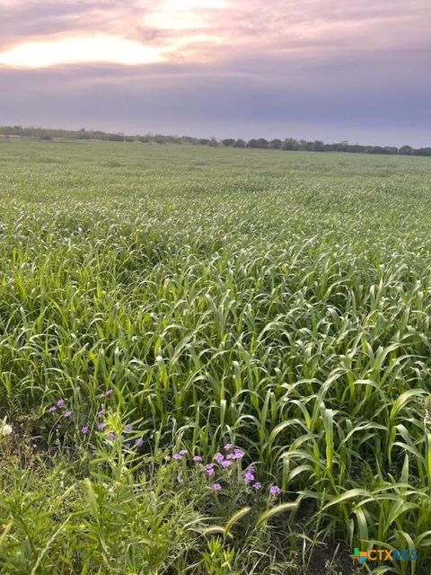 TBD Private Road 3642 Copperas Cove TX 76522