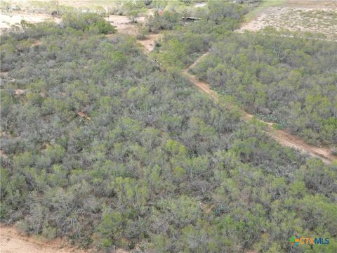 9538 Fm 1333 Charlotte TX 78011