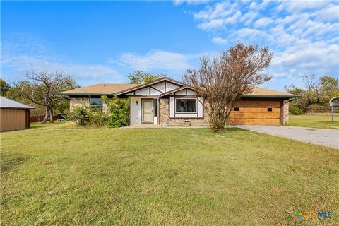 Photo of 3216 Wendy Lane, Kempner, TX 76539 (MLS # 598521)