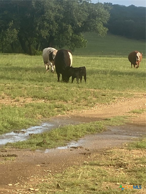 2029 County Road 200