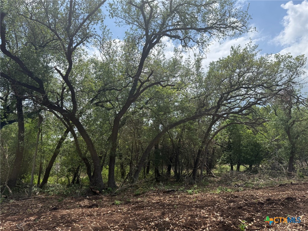 TBD Lot 14 Silverleaf Ridge