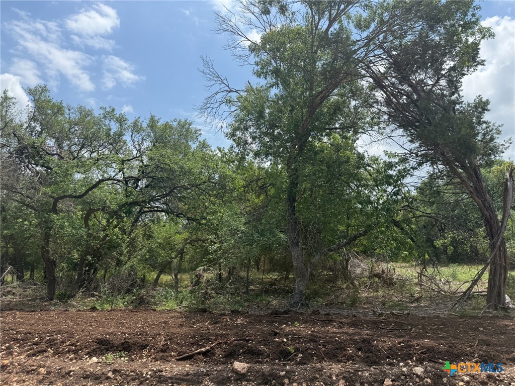 TBD Lot 14 Silverleaf Ridge