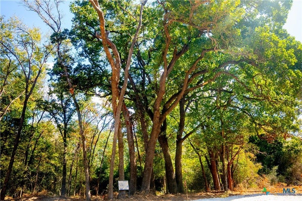 RED HILL RD, HEARNE, TX 77859 - Image a1300a6fec7b0d1823d2a081c7bfbb6c/3295300964