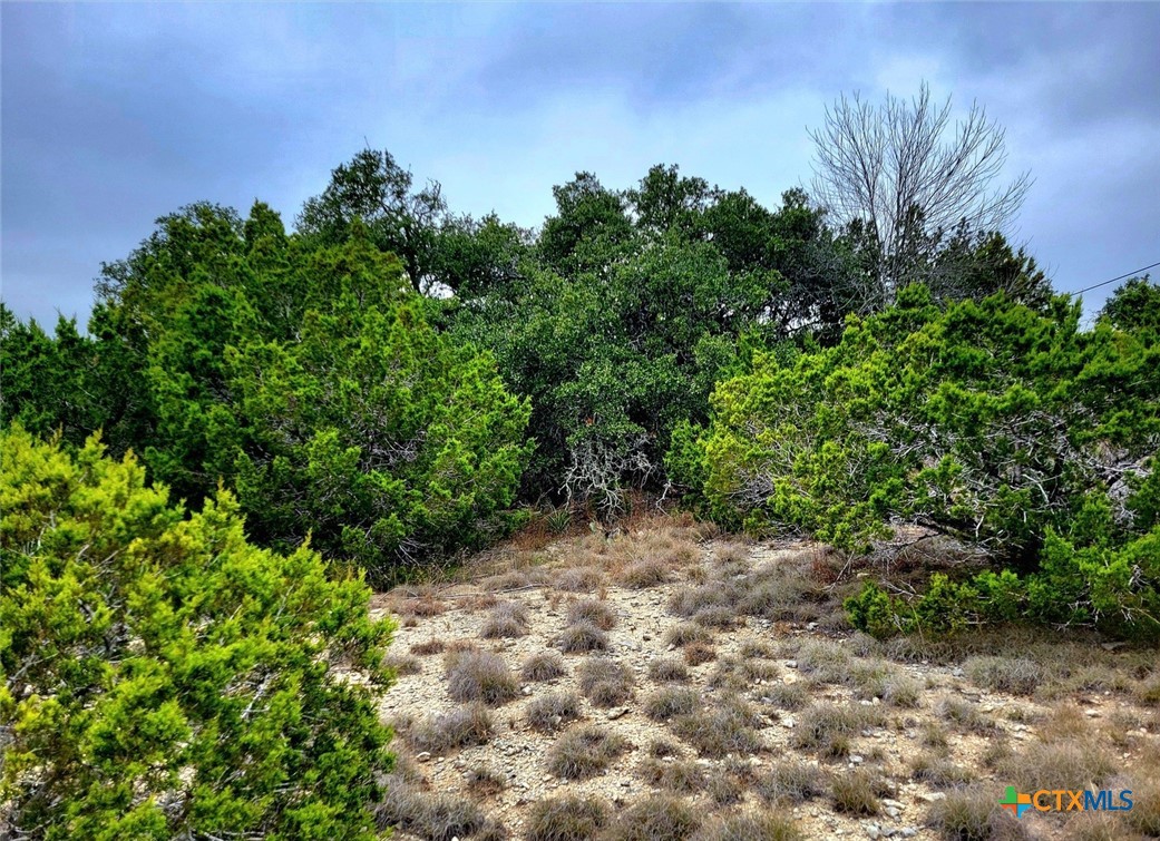 193 Appaloosa Drive