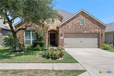 112 Palestine Cove Hutto TX 78634