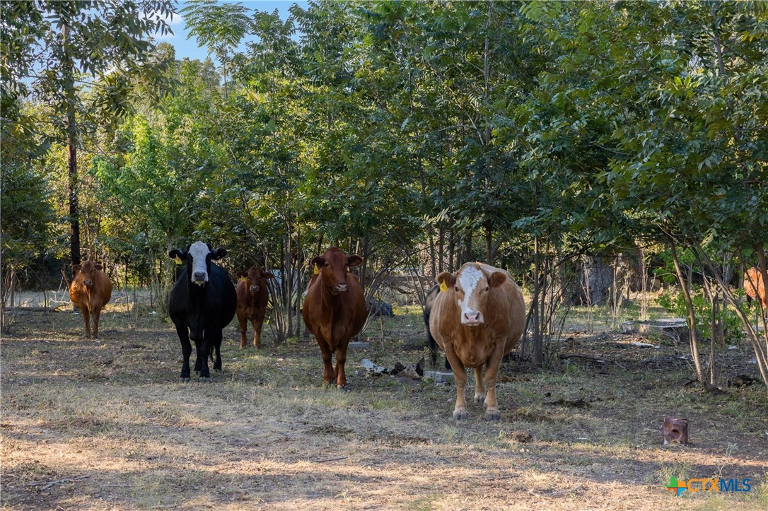 217 Robin Ranch Road