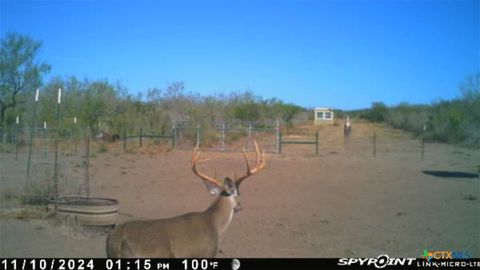 0 TR 123 TRIPLE T-BAR-L RCH Freer TX 78341