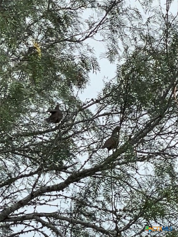 0 TR 123 TRIPLE T-BAR-L RCH