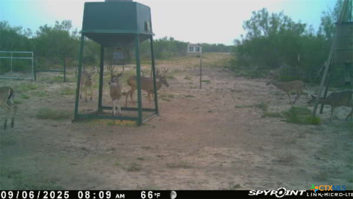 0 TR 123 TRIPLE T-BAR-L RCH