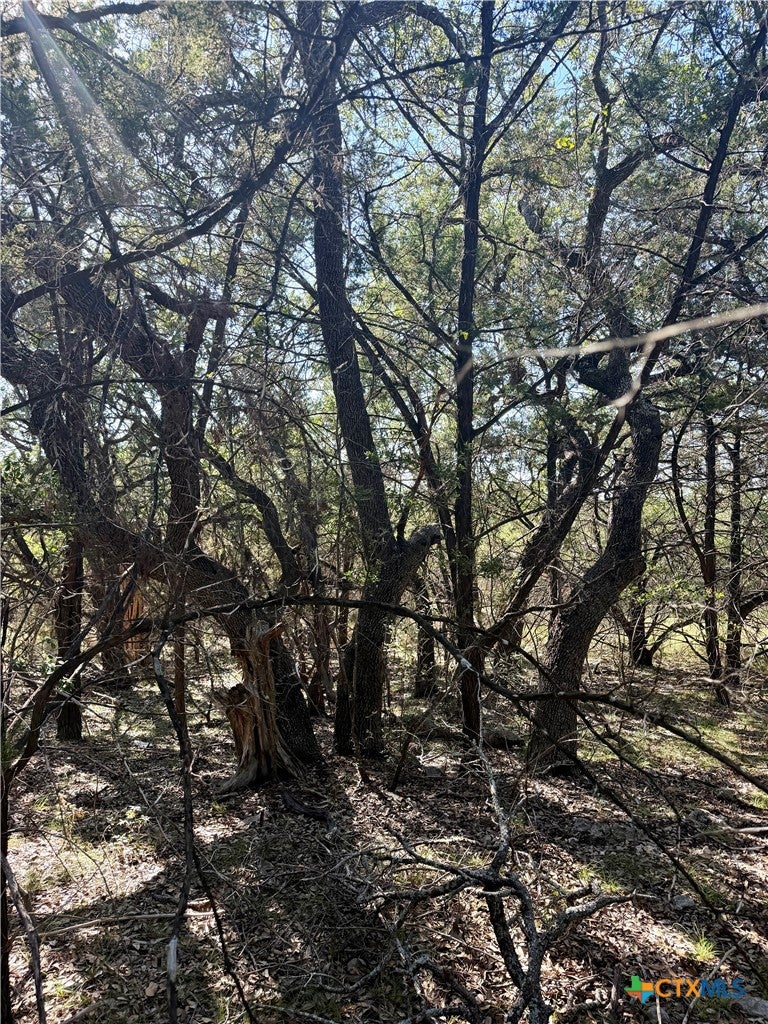 905 Mimosa Court