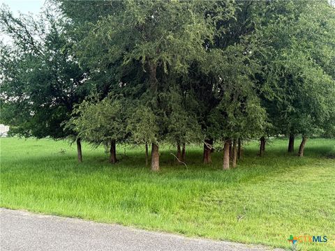 6 Blue Roan Drive Morgans Point Resort TX 78163