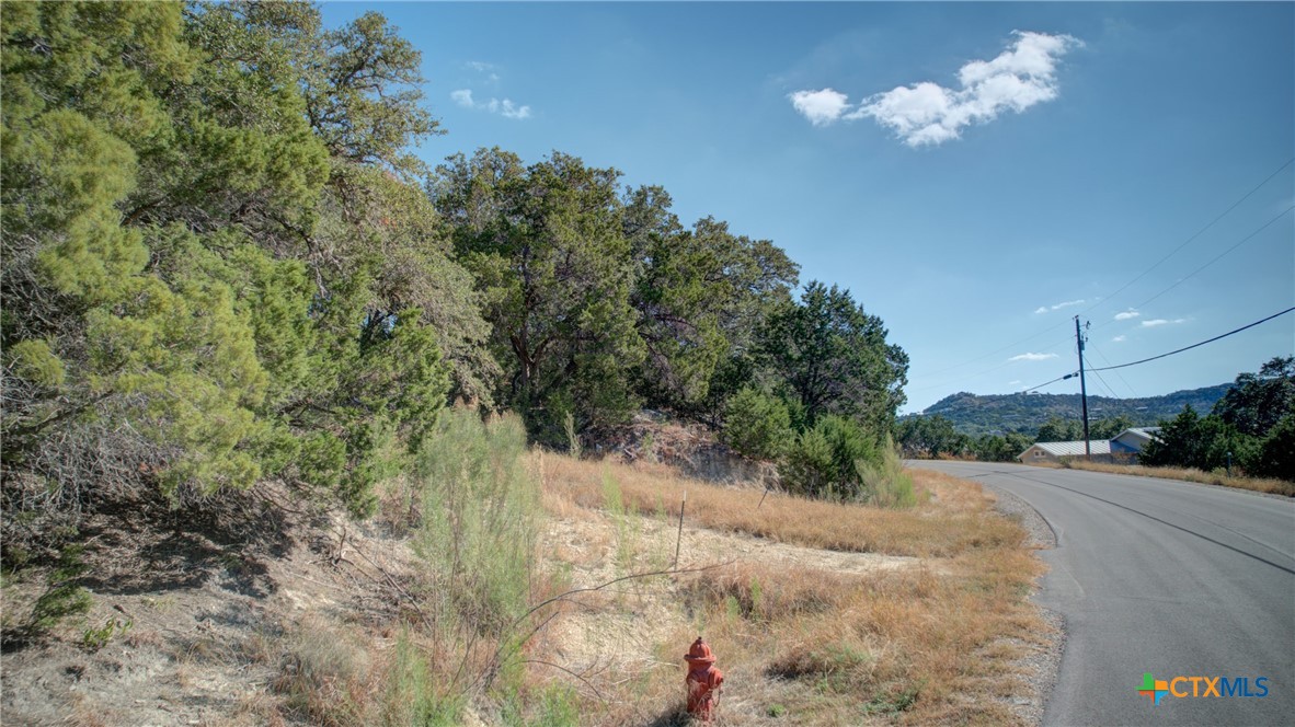 Canyon Lake, Texas 78133, United States, ,Land,Active,245340