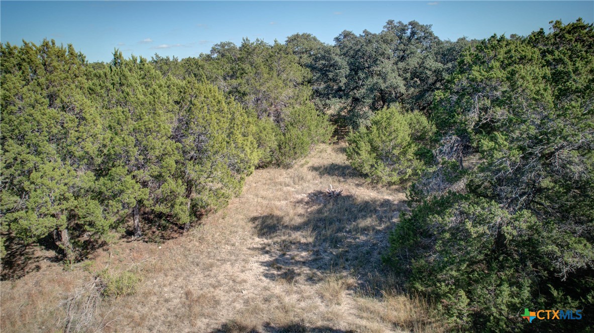 Canyon Lake, Texas 78133, United States, ,Land,Active,245340