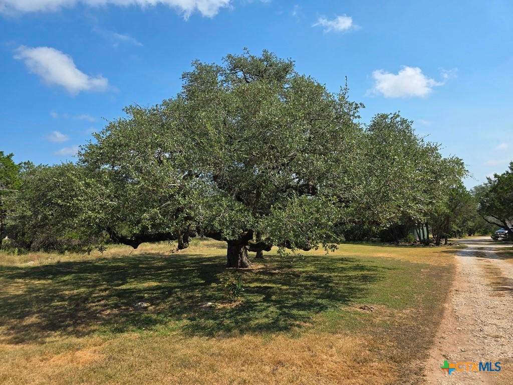New Braunfels, Texas 78132, United States, 3 Bedrooms Bedrooms, ,3 BathroomsBathrooms,Residential,Active,186993