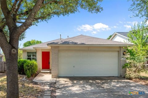 14508 Spearmint Tea Trail Pflugerville TX 78660