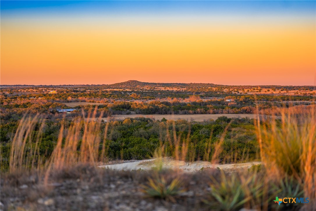 TBD Farm to Market Rd 1047