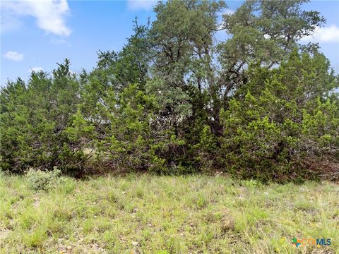 Photo of 141 Vista View Place, Spring Branch, TX 78070 (MLS # 583828)