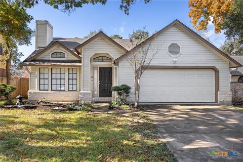 A home in Cedar Park