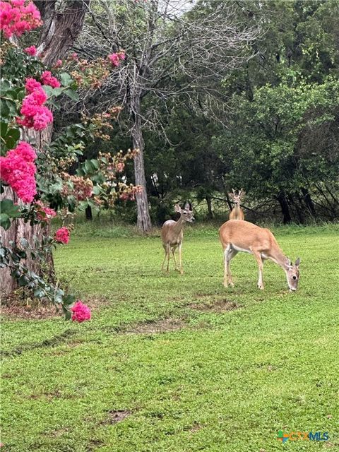 A home in Salado