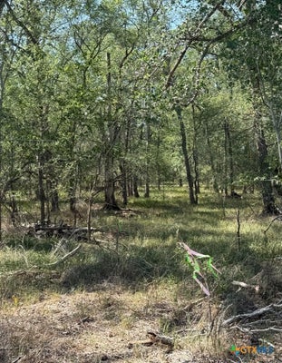 421 KERR AVE, SUTHERLAND SPRINGS, TX 78161 - Image a4fa015f9e3d5eaf581b8ddb7a407c6d/4121304956