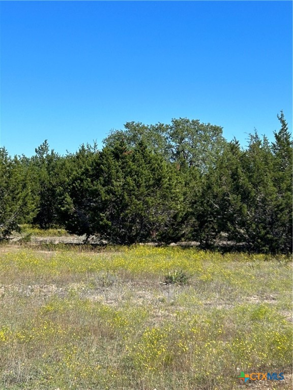 TBD County Road 139