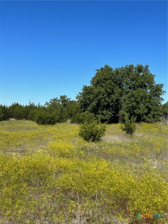 TBD County Road 139