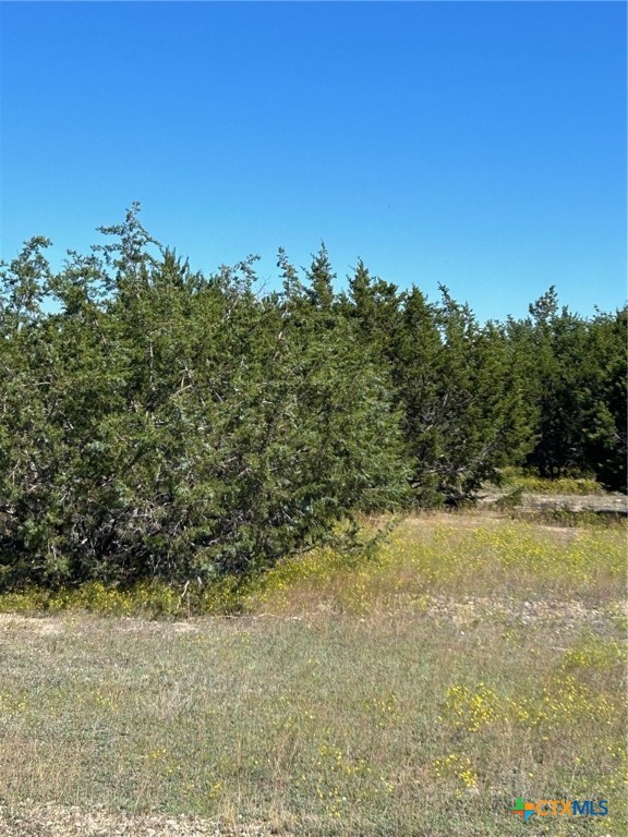 TBD County Road 139