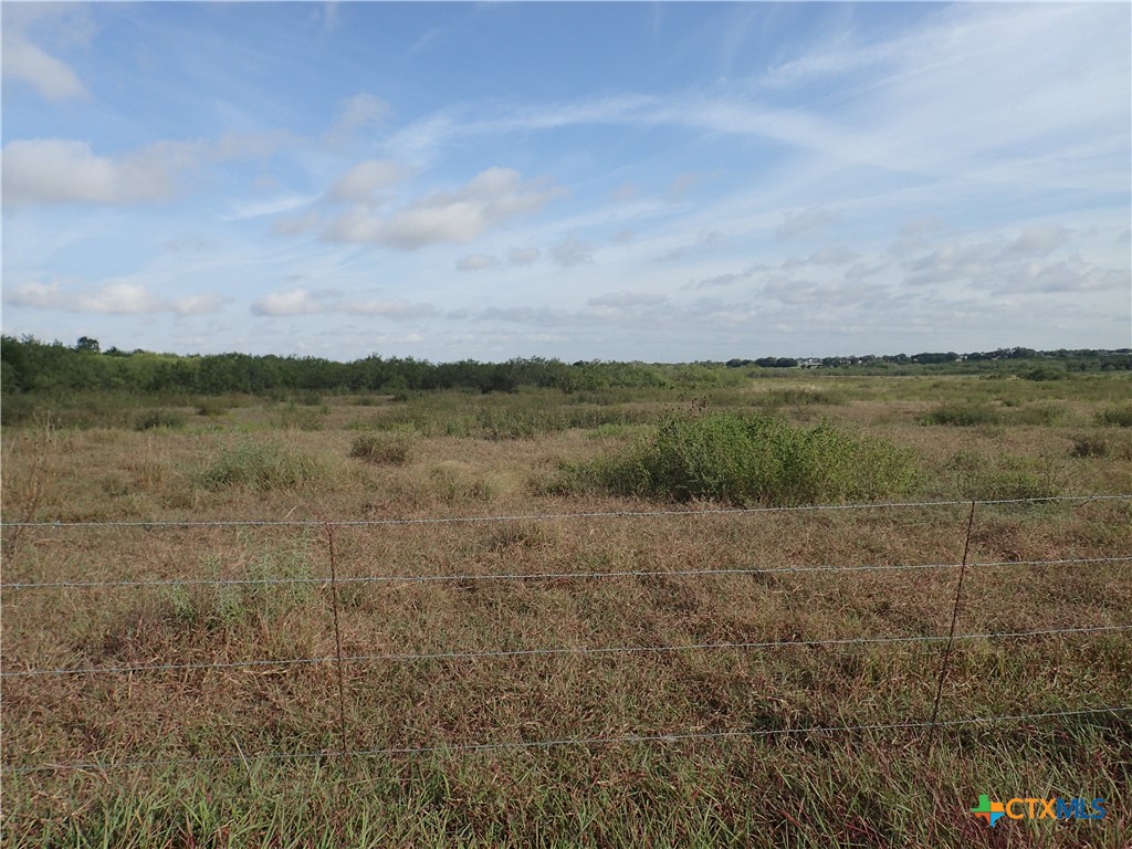 1060 Black Ankle Road