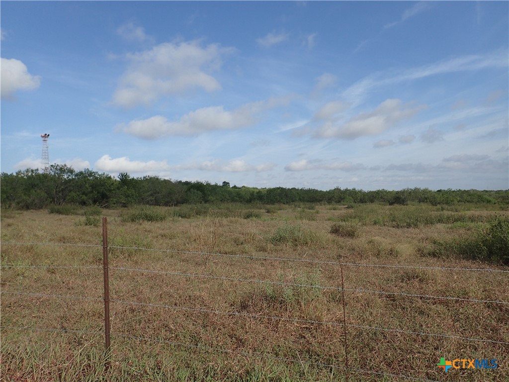 1060 Black Ankle Road