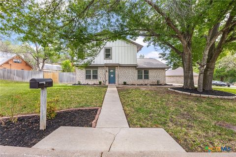 4117 Cripple Creek Drive Temple TX 76502