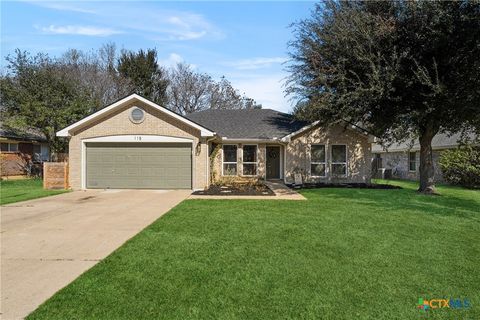 Photo of 115 Finch Lane, Georgetown, TX 78626 (MLS # 603937)