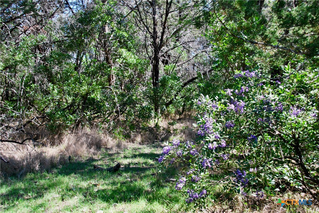 625 Mountain Laurel Drive