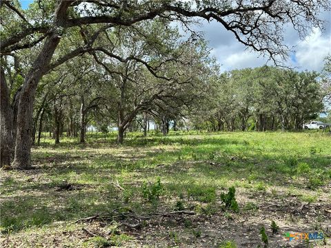 1776 FM 1351 Goliad TX 77963