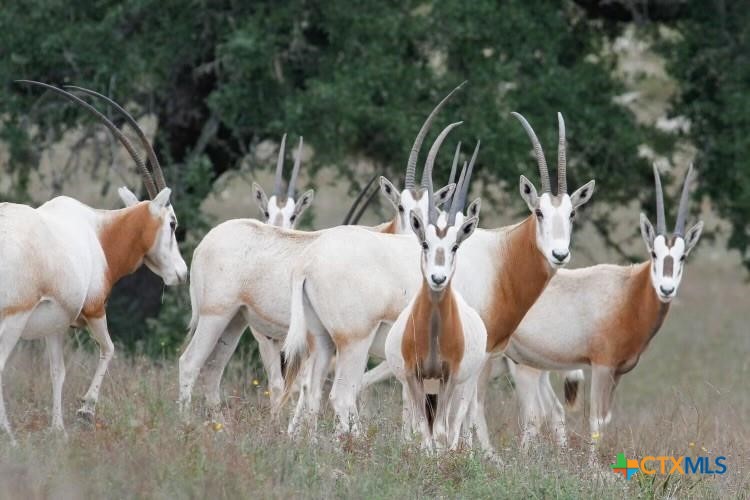 Lot 194 N Flat Rock Way