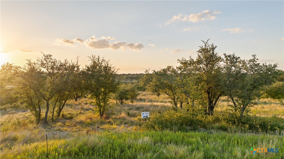 Lot 68 Leaning Madrone Drive