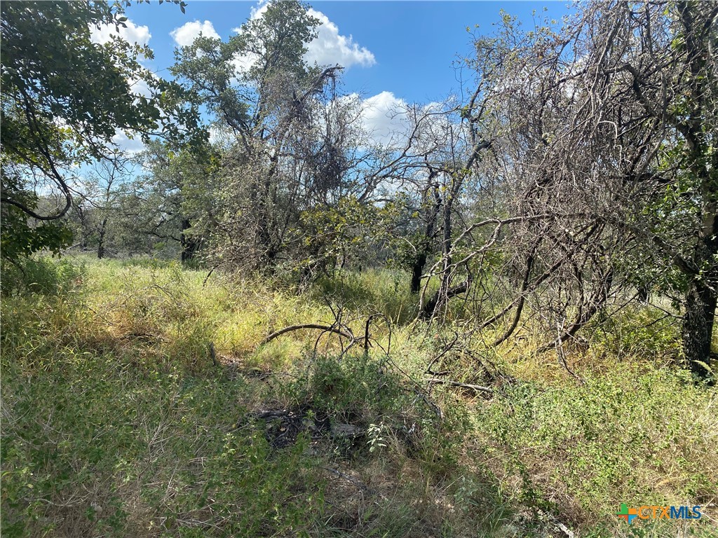 1470 County Road 770