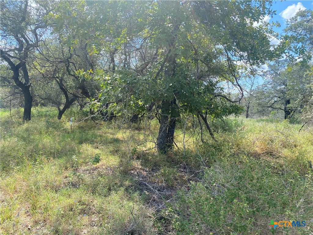 1470 County Road 770