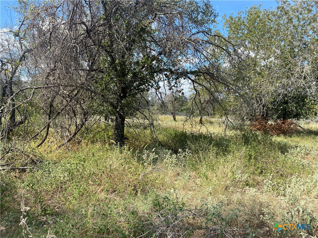 1470 County Road 770