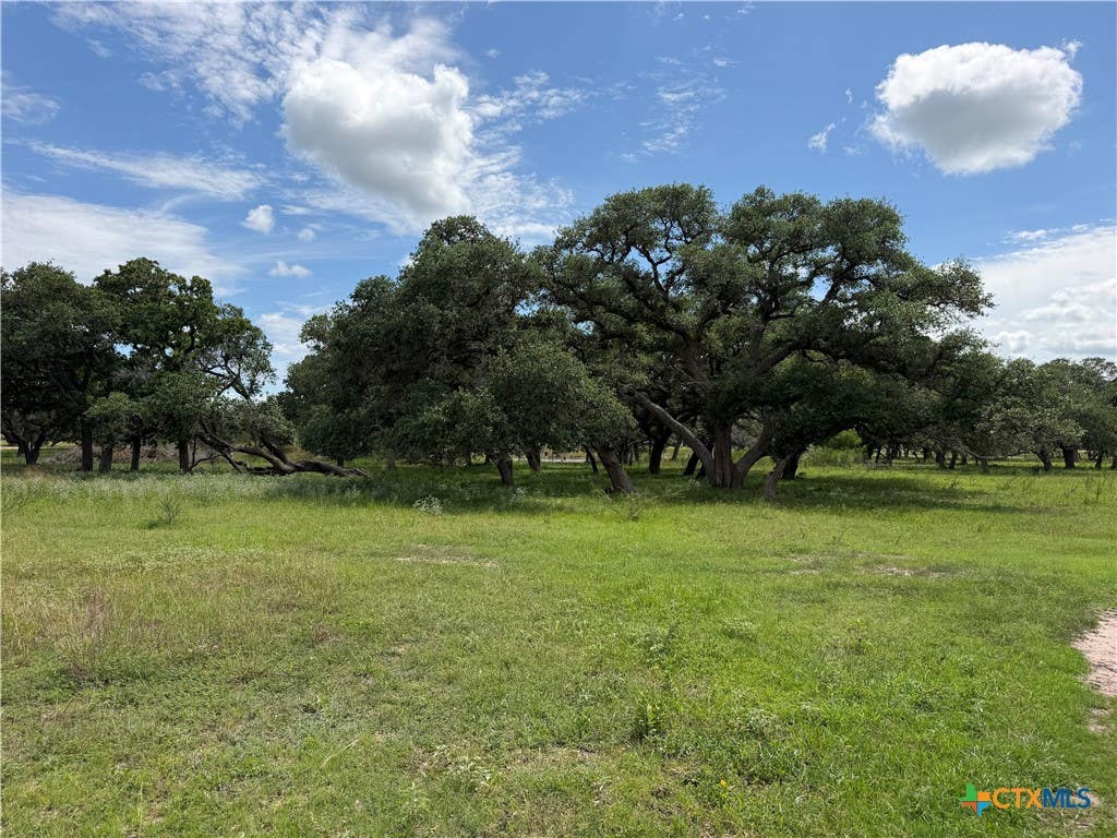 Photo of 209 Rice Road, Yoakum, TX 77995 (MLS # 620876)