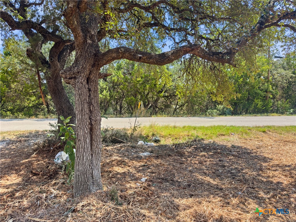 1107 High Point Lane