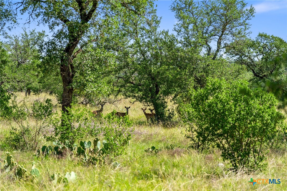 620 Rio Vista Road