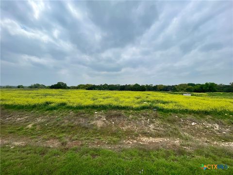 11151 Golden Eagle Avenue Salado TX 76571