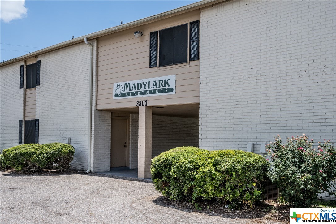 3803 Halsey Street