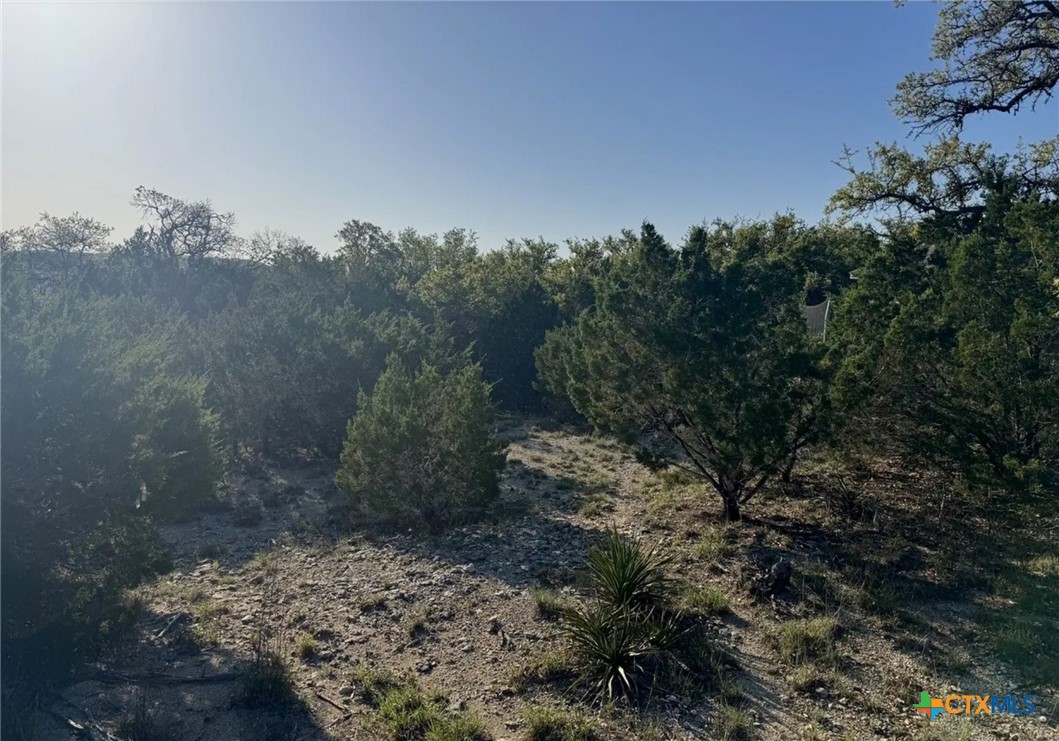 1111 Rocky Ridge Loop