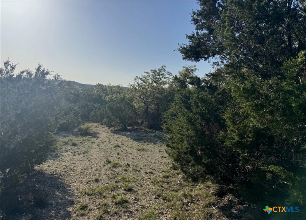 1111 Rocky Ridge Loop