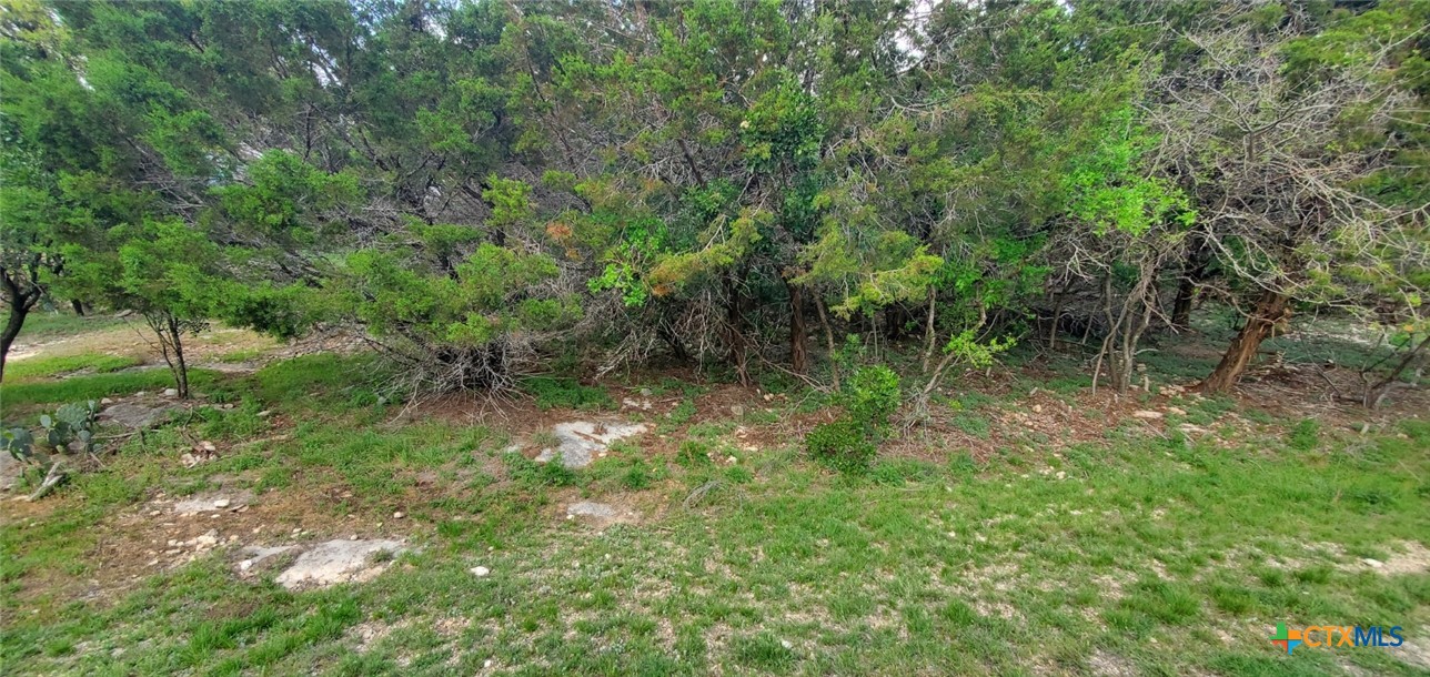 15968 & 15974 Brazos Drive