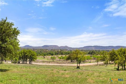1318-1 Klett Ranch Rd Johnson City TX 78636
