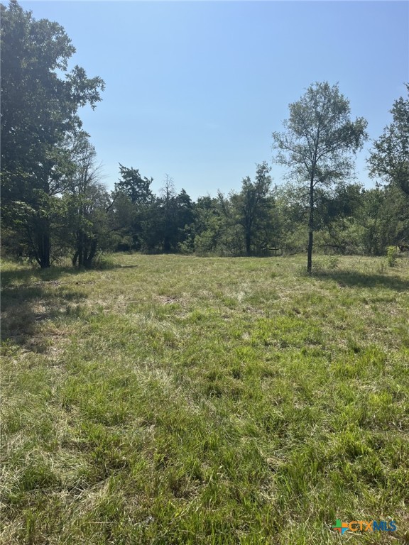 1290 COUNTY ROAD 302