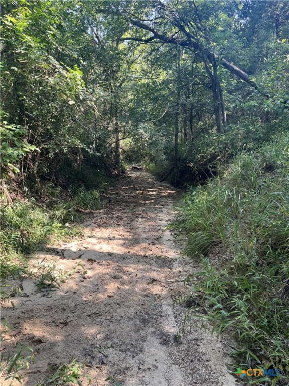 1290 COUNTY ROAD 302