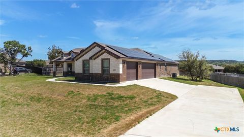 Photo of 3919 Gracey Lane, Kempner, TX 76539 (MLS # 608781)